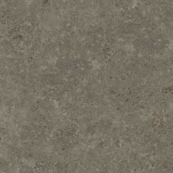METEORA GRIS L3